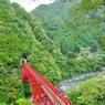 【新緑の黒部峡谷】新山彦橋　トロッコ〜〜♪来て〜♪