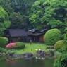 博物館の庭
