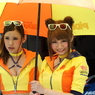 サーキットの花