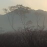 暁霧