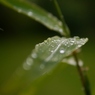 雨の日も好き１