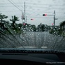 雨の赤