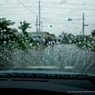 雨の青