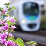 「花の出迎え」