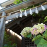20140529川越GR 006