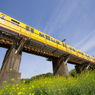 yellow train