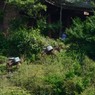 驢馬隊（武夷山）