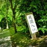 苔寺