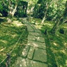 苔寺