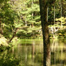 苔寺
