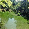 苔寺