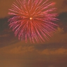 14_nishibi (12)