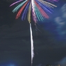 14_nishibi (22)