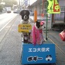 わんぬ思い交通安全！