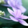 Inconstancy