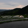 習作　井手浦の夕べ