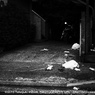 朝の惨事