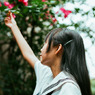 摘花