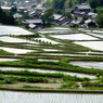 細川の棚田_01
