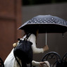 umbrella　lady Ⅱ