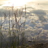 IMG_5924