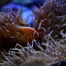 名古屋港水族館