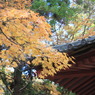 神峯山寺　紅葉