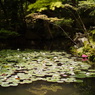 tenjyu-an kyoto