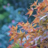 DSC04340