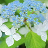 素敵な雨