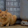 少し不機嫌