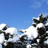 旭川にて
