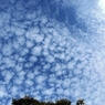 うろこ雲 (2)