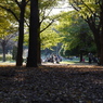 P1030199