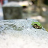 神峯山寺