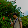 花粉