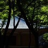 神峯山寺