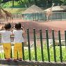多摩動物公園−２