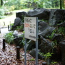 DSC00096