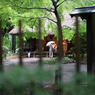 DSC00104
