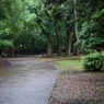 DSC00164