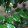 DSC00151
