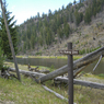 Fly Fishing Only