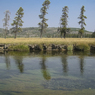 Firehole River #04