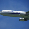×50(1200mm)