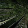 青蓮院門跡