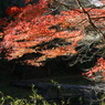 嵐山渓谷　～冠水橋と紅葉～