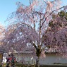 Daigo, Kyoto