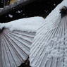 雪