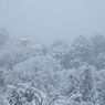 清水寺から